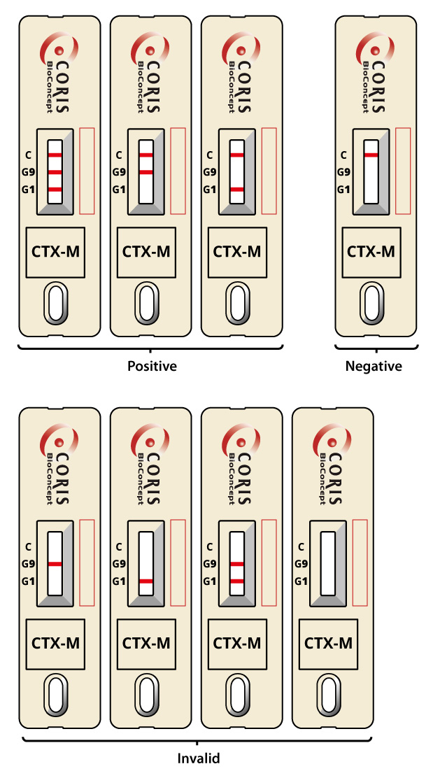 Ctx M Injection RESIST CTX-M Rapid diagnostic